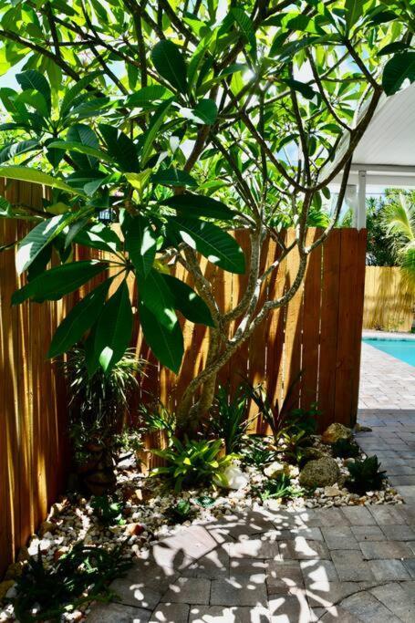 Tropical Retreat Near Beaches, Cruise Terminals Merritt Island Esterno foto